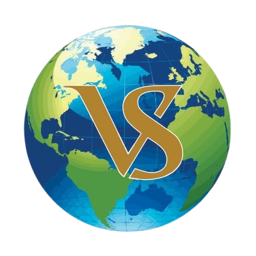 vinnysoftvisasolution.com